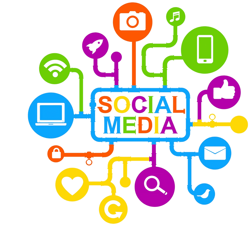 Social Media Infographic PNG